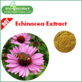 100% natürlicher Echinacea Extrakt